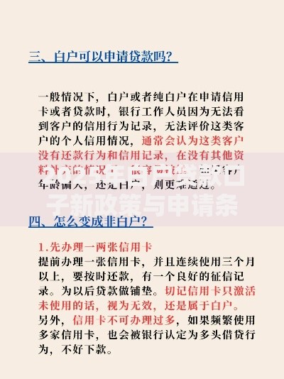 2025年白户贷款口子新政策与申请条件解析