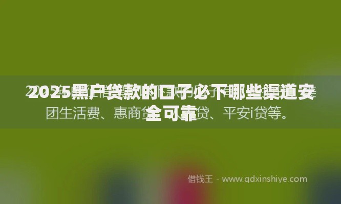2025黑户贷款的口子必下哪些渠道安全可靠