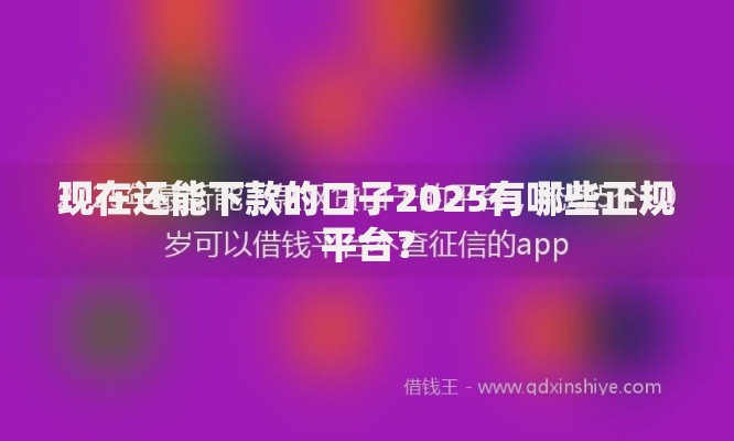 现在还能下款的口子2025有哪些正规平台？