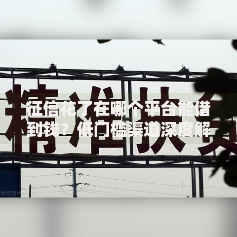 征信花了在哪个平台能借到钱？低门槛渠道深度解析