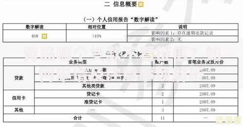 青岛哪个贷款不看征信？如何申请及注意事项解析