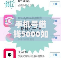 手机号借钱5000如何操作？流程详解与风险防范