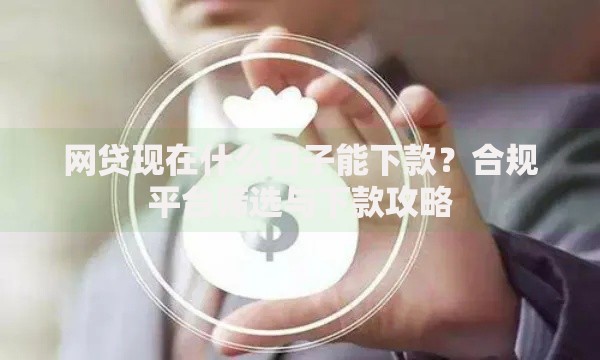 网贷现在什么口子能下款？合规平台筛选与下款攻略