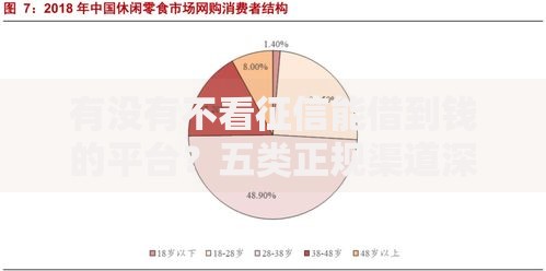 有没有不看征信能借到钱的平台？五类正规渠道深度解析