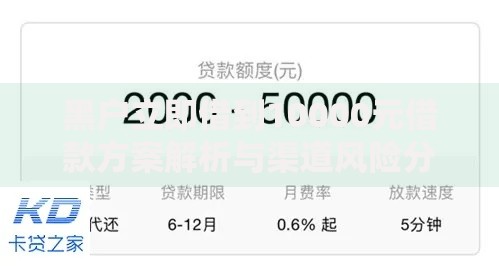 黑户立即借到10000元借款方案解析与渠道风险分析
