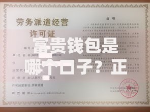 富贵钱包是哪个口子？正规平台资质及申请流程深度解析