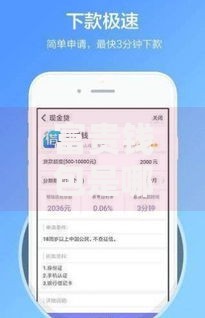 富贵钱包是哪个口子？正规平台资质及申请流程深度解析