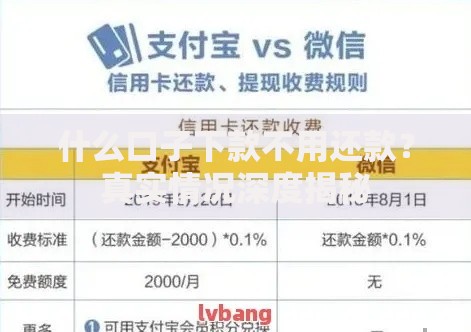 什么口子下款不用还款？真实情况深度揭秘