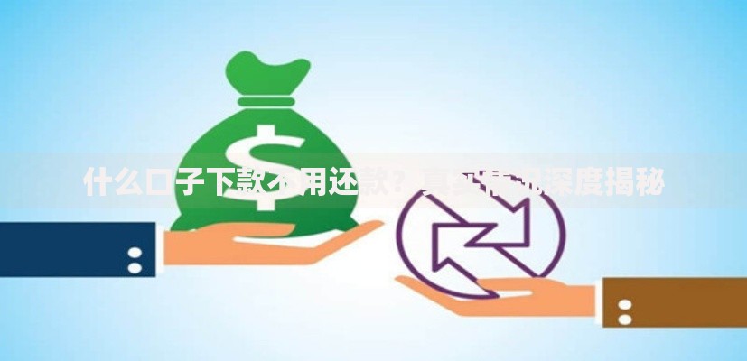什么口子下款不用还款？真实情况深度揭秘