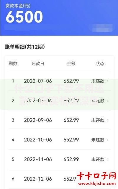 什么口子下款不用还款？真实情况深度揭秘