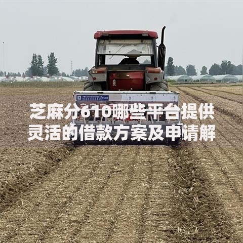 芝麻分610哪些平台提供灵活的借款方案及申请解析