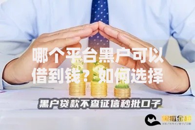 哪个平台黑户可以借到钱？如何选择安全借贷渠道
