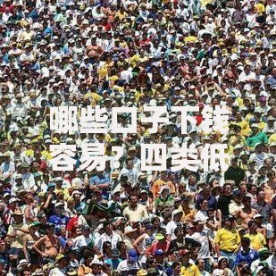哪些口子下钱容易？四类低门槛贷款渠道推荐