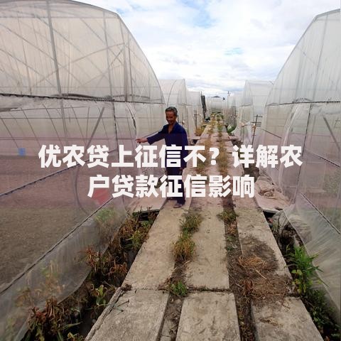 优农贷上征信不？详解农户贷款征信影响