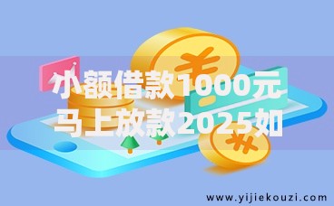 小额借款1000元马上放款2025如何快速申请？流程解析