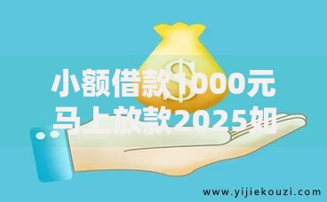 小额借款1000元马上放款2025如何快速申请？流程解析