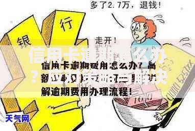 信用卡逾期怎么办？应对策略与解决方案全解析