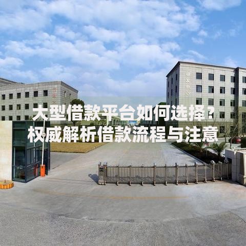 大型借款平台如何选择？权威解析借款流程与注意事项