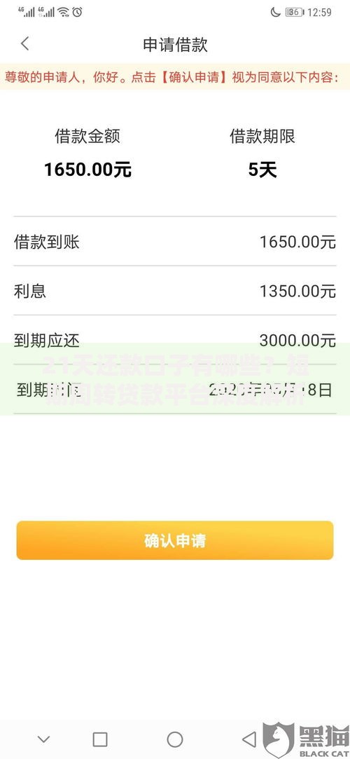 21天还款口子有哪些？短期周转贷款平台深度解析