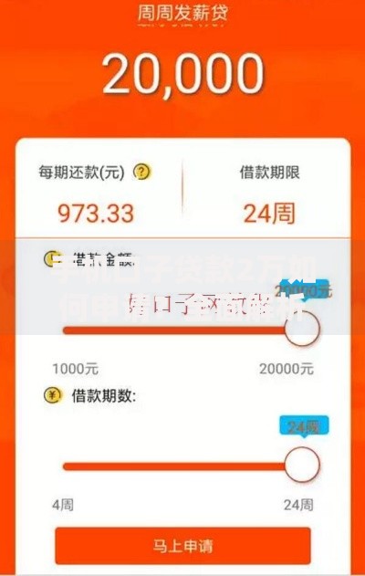手机口子贷款2万如何申请？全面解析流程与注意事项