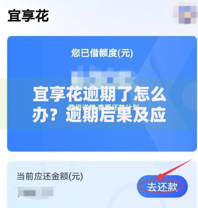 宜享花逾期了怎么办？逾期后果及应对策略解析