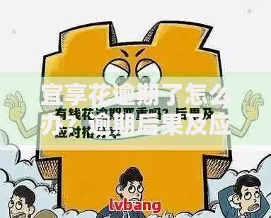 宜享花逾期了怎么办？逾期后果及应对策略解析