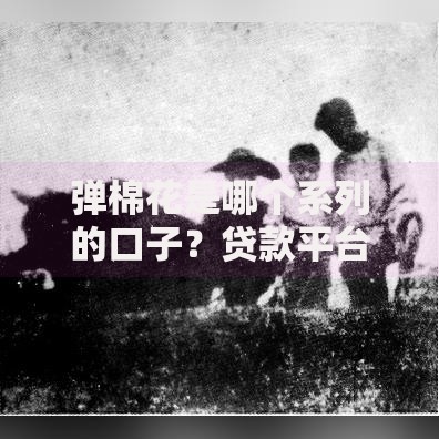 弹棉花是哪个系列的口子？贷款平台类型深度解析