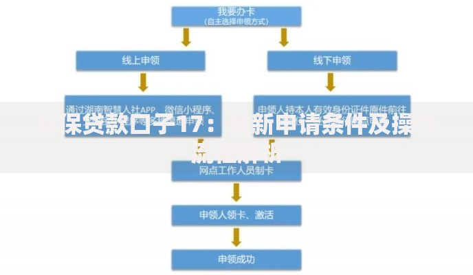 社保贷款口子17：最新申请条件及操作流程解析