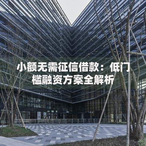 小额无需征信借款：低门槛融资方案全解析
