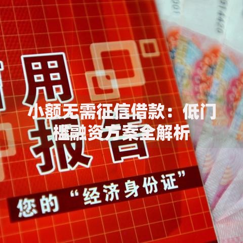 小额无需征信借款：低门槛融资方案全解析