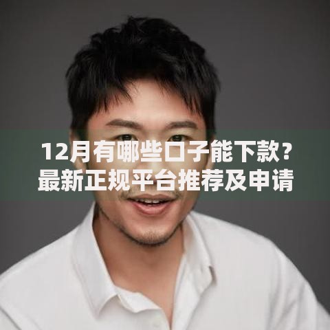 12月有哪些口子能下款?最新正规平台推荐及申请攻略 12月有哪些口子能下款?最新正规平台推荐及申请攻略