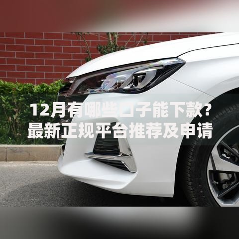 12月有哪些口子能下款?最新正规平台推荐及申请攻略 12月有哪些口子能下款?最新正规平台推荐及申请攻略