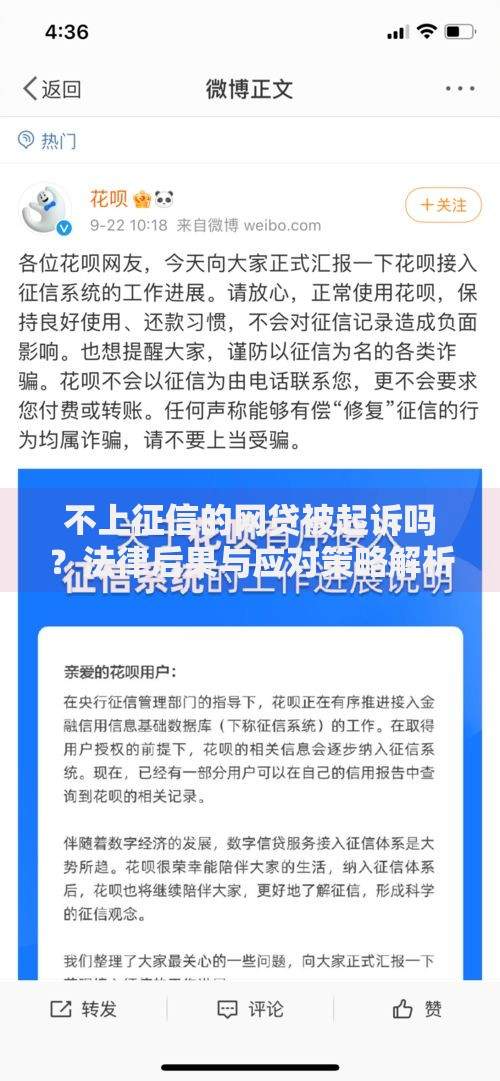 不上征信的网贷被起诉吗？法律后果与应对策略解析