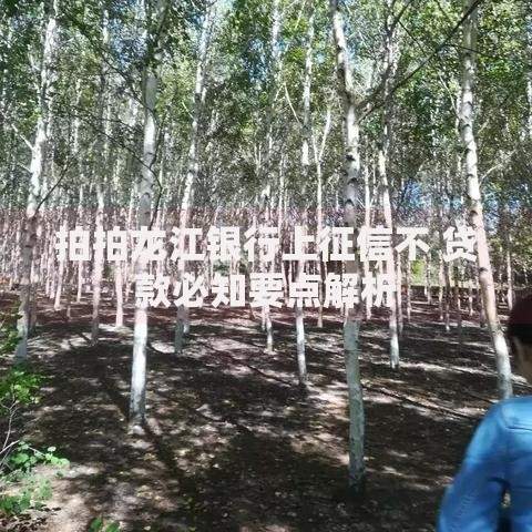 拍拍龙江银行上征信不 贷款必知要点解析