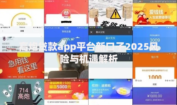 高炮贷款app平台新口子2025风险与机遇解析
