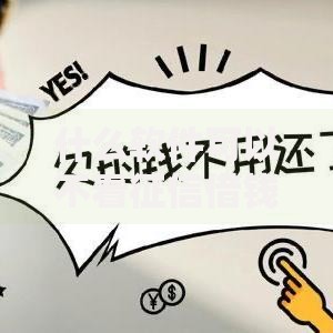 什么软件可以不看征信借钱？正规平台解析与风险提醒
