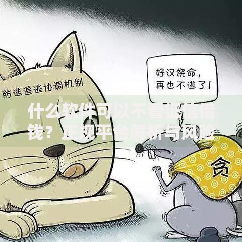 什么软件可以不看征信借钱？正规平台解析与风险提醒