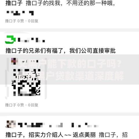 又黑户能下款的口子吗？最新黑户贷款渠道深度解析