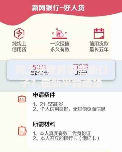 网上贷款有哪些新口子？最新平台选择与申请攻略