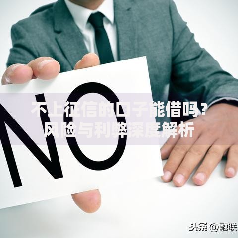 不上征信的口子能借吗？风险与利弊深度解析