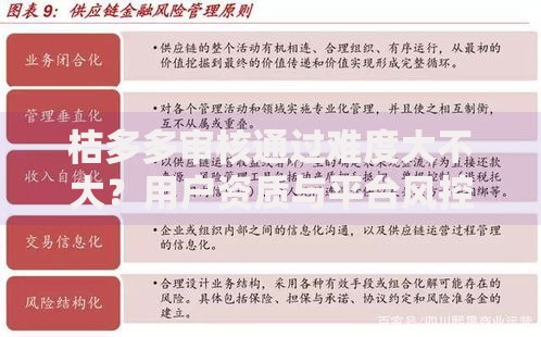 桔多多审核通过难度大不大？用户资质与平台风控深度解析