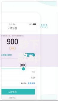 秒下款app下载指南：安全快速借款平台推荐及使用技巧