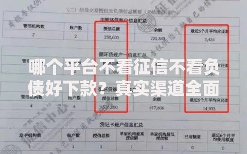 哪个平台不看征信不看负债好下款？真实渠道全面评测