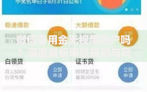 微信备用金无视黑白户吗？深度解析审核规则与风险
