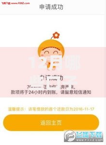 12月哪些口子秒下？低息贷款平台快速到账攻略