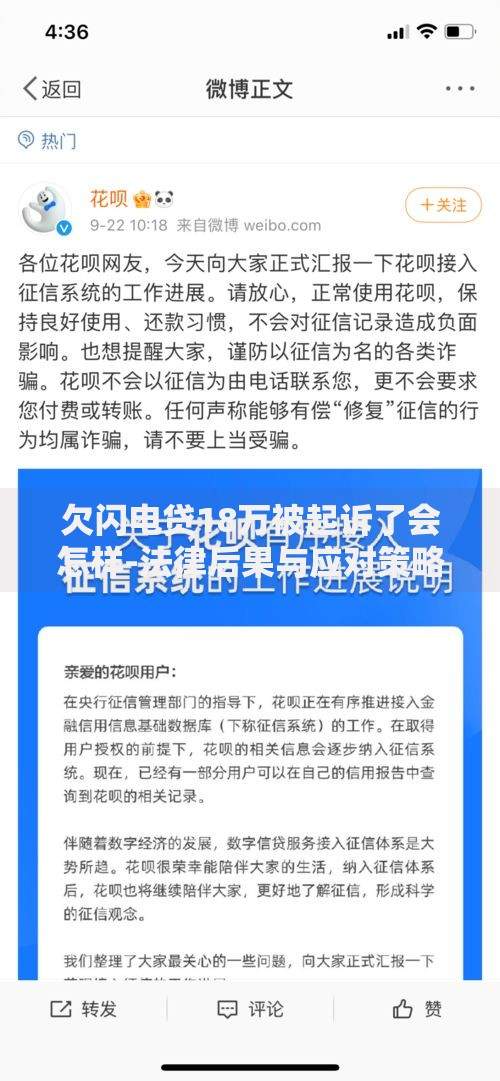 欠闪电贷18万被起诉了会怎样-法律后果与应对策略解析