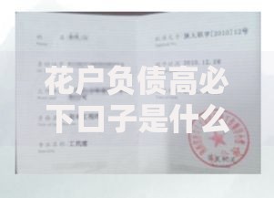 花户负债高必下口子是什么？解析资质审核与贷款策略