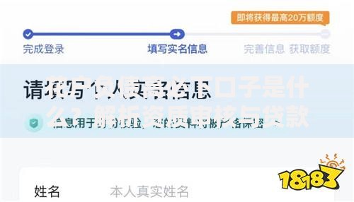 花户负债高必下口子是什么？解析资质审核与贷款策略
