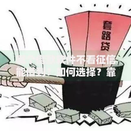 哪个借款软件不看征信能借到？如何选择？靠谱平台推荐及注意事项