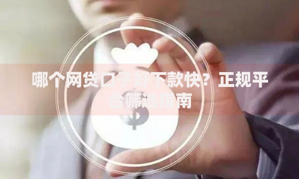 哪个网贷口子好下款快？正规平台筛选指南